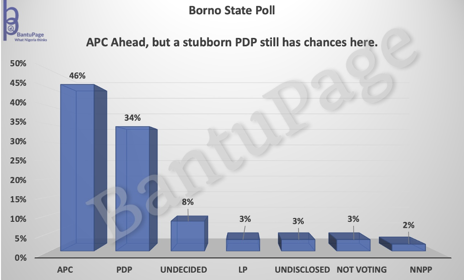 bantupage-Borno-state-poll-2023-elections