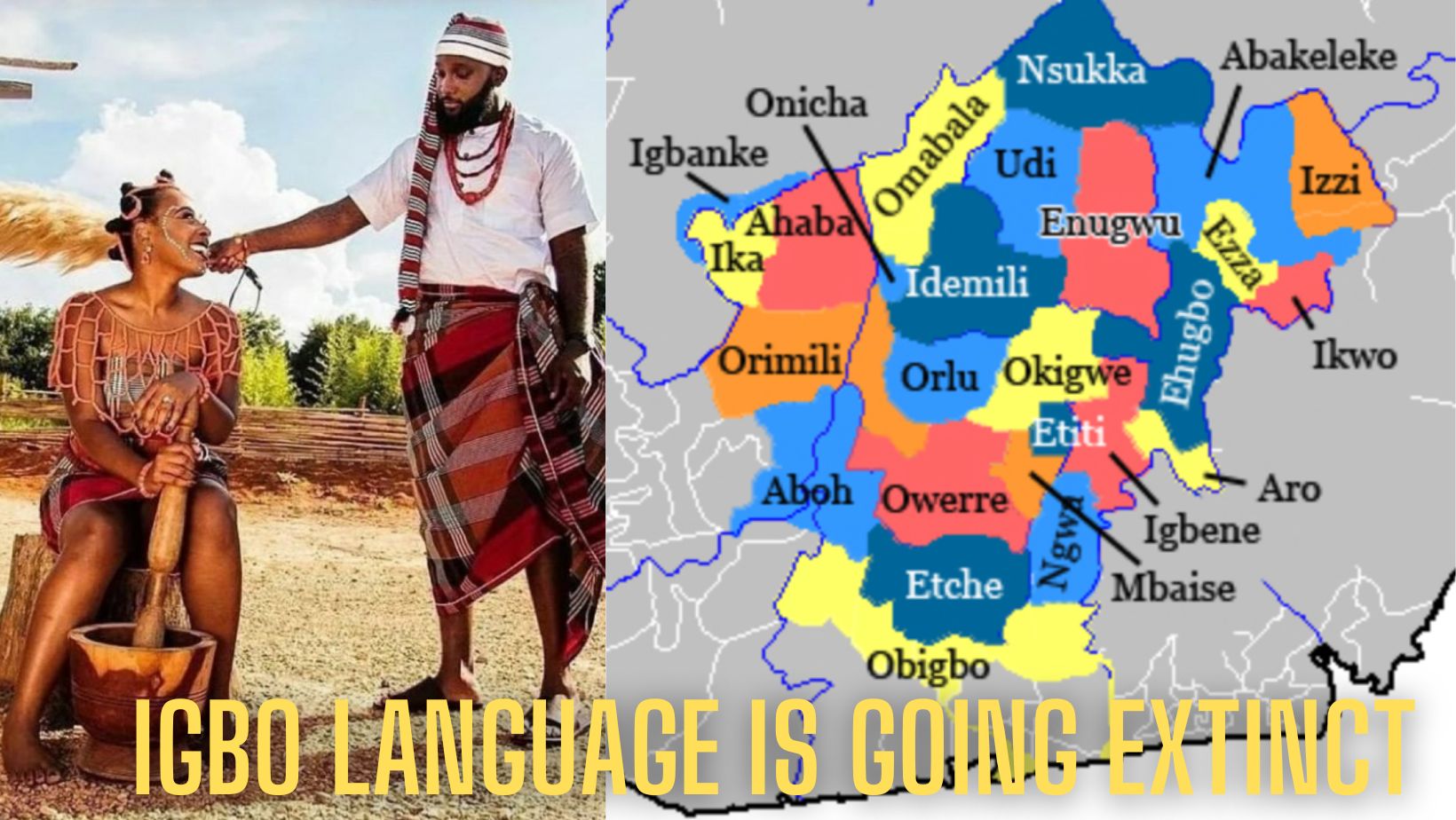 The Rapid Extinction Of The Igbo and Other Nigerian Languages Bantupage