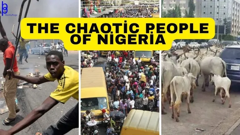 Nigerian Parasite - Thumbnail